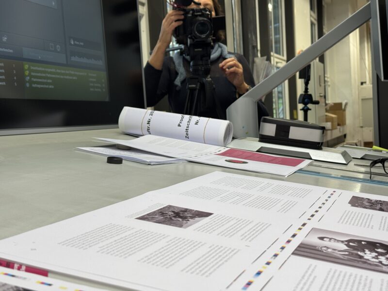 Ein Goldesel wäre mir lieber gewesen: Buch vom Frauenkultur Verlag Graubünden